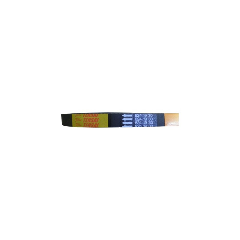 Ιμάντας TENSAI/MITSUBA 824X19X30 ELYSEO125/150
