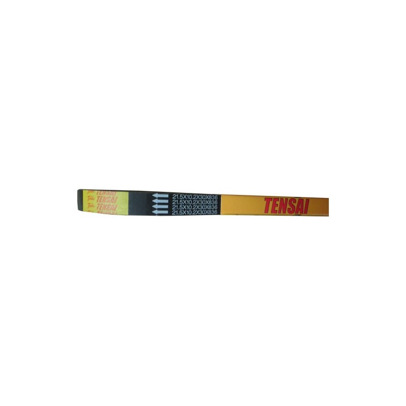 Ιμάντας TENSAI/MITSUBA 836X30X10.2X21.5 HEXAGON180 2T 98-,RUNNER180FXR/SP 2T 97/02