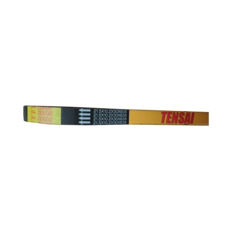 Ιμάντας TENSAI/MITSUBA 836X30X10.2X21.5 HEXAGON180 2T 98-,RUNNER180FXR/SP 2T 97/02